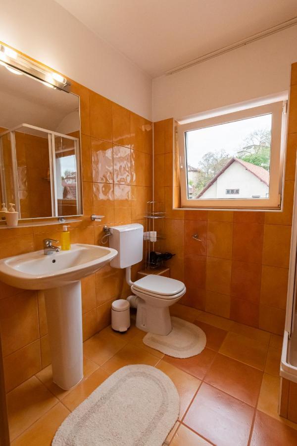 Residence 48 Beautiful Building Within Moments From The Old Town Of Braszów Zewnętrze zdjęcie